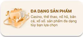 BNTC đa dạng sản phẩm df999-flow.info