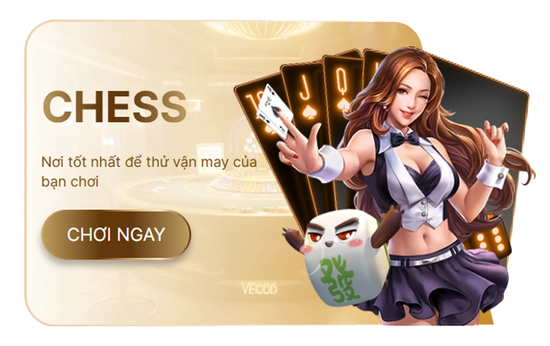 bn chess tc df999-flow