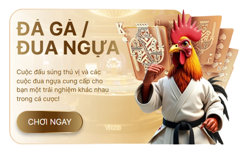 bn da ga dua ngua tc df999-flow