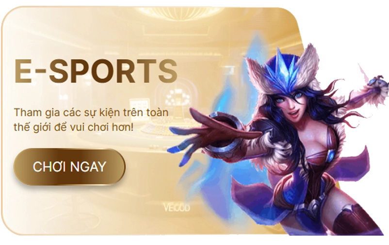 bn esport tc df999-flow