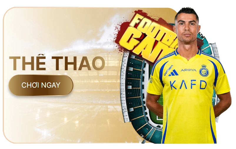 bn the thao tc df999-flow