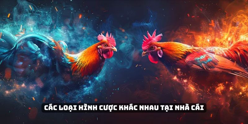 Các loại hình cược khác nhau tại nhà cái