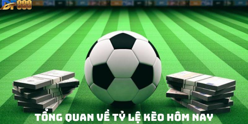 Tỷ Lệ Kèo Nhà Cái: Các Yếu Tố Quan Trọng Cần Biết